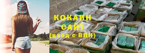 трава Аркадак