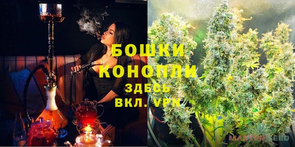 трава Аркадак